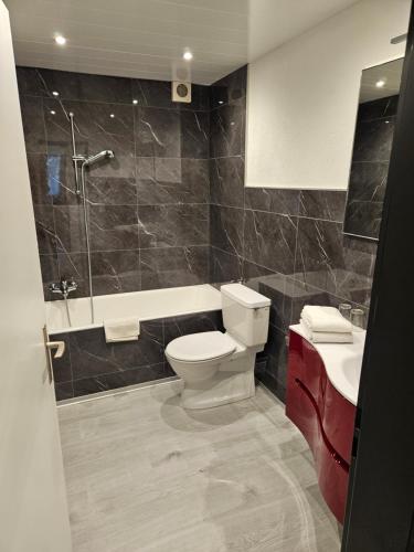 萨斯阿尔马格尔Haus Apollo的浴室配有卫生间、盥洗盆和淋浴。