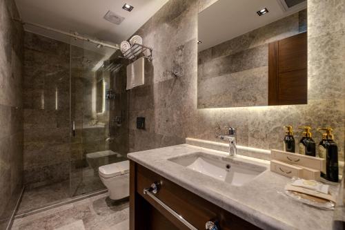 伊斯坦布尔B'İSTANBUL HOTEL的一间带水槽、淋浴和卫生间的浴室