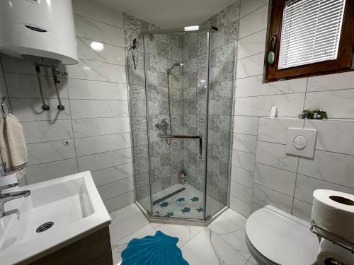 帕莱Snjezna kuca Rakovac的带淋浴、卫生间和盥洗盆的浴室