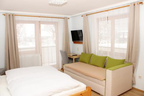 斯拉德明Riverhaus的带沙发、电视和窗户的客厅