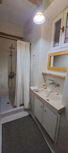 希俄斯THE GARDEN OF CHIOS的浴室配有水槽和带浴帘的淋浴
