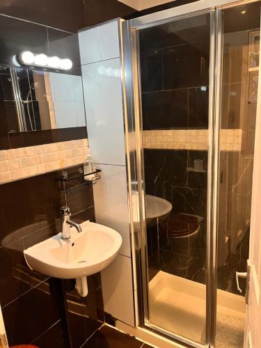 伦敦Luxury city centre Apartment的一间带水槽和淋浴的浴室
