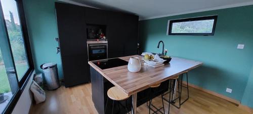CarnoulesCocon tout confort au coeur de la nature的厨房设有木制台面和绿色墙壁