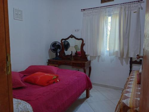 瓜拉廷格塔CHÁCARA TERRA dos SONHOS的一间卧室配有一张床和一张带镜子的桌子