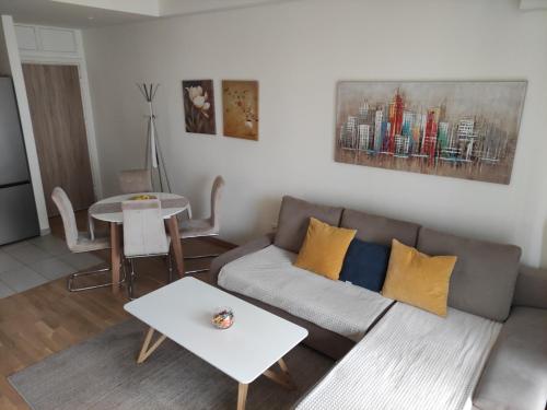 贝尔格莱德Belgrade Waterfront Comfortable Apartment的客厅配有沙发和桌子