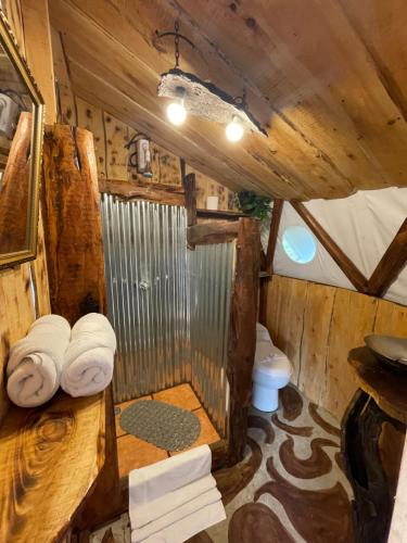 PoasitoPoas Volcano Observatory Lodge & Glamping的小屋内带淋浴的小浴室