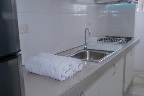 普卡尔帕Suite and Business的白色的厨房配有水槽和毛巾