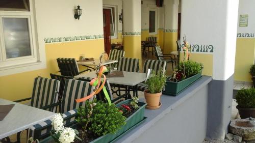 阿姆施泰滕金犁宾馆的一间设有桌椅和盆栽的餐厅