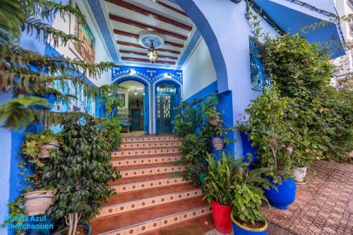 舍夫沙万阿苏尔普尔塔住宿加早餐旅馆的蓝色的建筑,有楼梯和盆栽植物