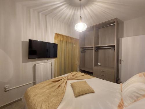 纳夫普利翁Alpha 4的一间卧室配有一张床和一台平面电视
