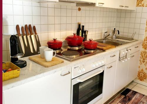 阿斯科纳Traumhaftes Appartment in Ascona nur 200m vom Lago Maggiore entfernt的厨房配有红锅和炉灶