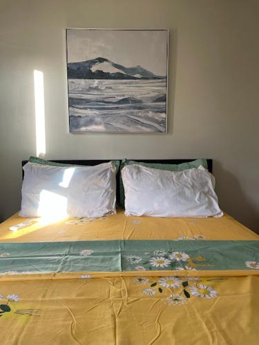 宿务Budget Room的一张带两个枕头的床和墙上的绘画