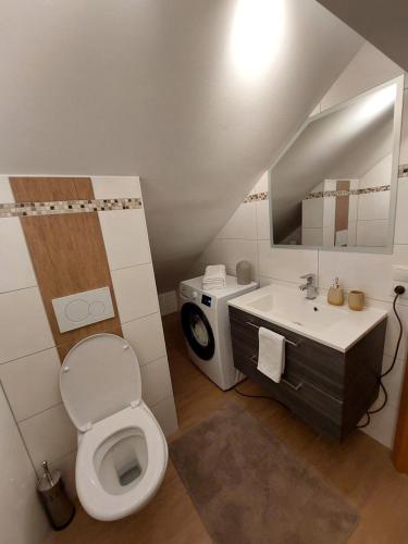 毛特恩多夫Apartment Ledermoos的一间带卫生间、水槽和镜子的浴室