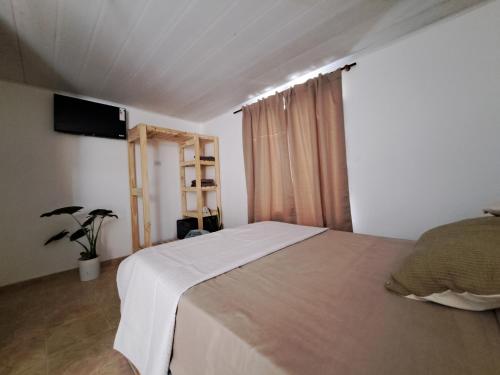 纳瓦罗Hostal El soleado的卧室配有一张床,墙上配有电视