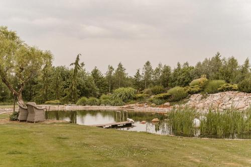 斯塔加德什切青Siedlisko Nad Miedwiem的公园里的池塘,有木头