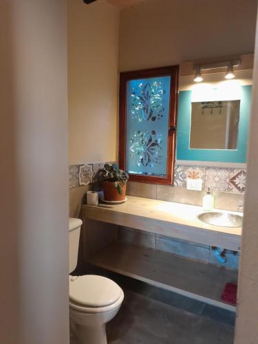 埃博森Cabañas Tierra Verde的一间带卫生间、水槽和镜子的浴室