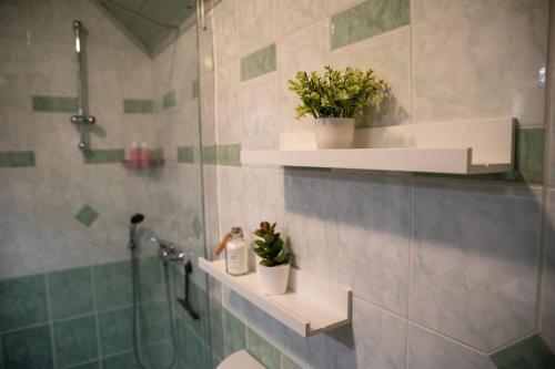 新梅斯托Hiška sončni hrib.的带淋浴的浴室和植物卫生间