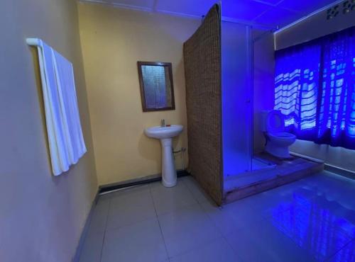 KibuyeSpa Shallum的浴室配有盥洗盆、淋浴和卫生间