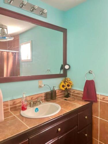 罗阿坦Island style home, low key rental的一间带水槽和大镜子的浴室