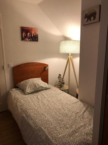 拉姆吉Duplex 8 couchages, au pied des pistes de la Mongie的一间小卧室,配有床和灯
