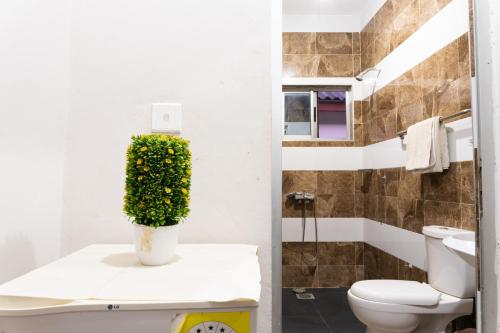 KasoaVillage Francophone Hotel的一间带卫生间和植物的浴室