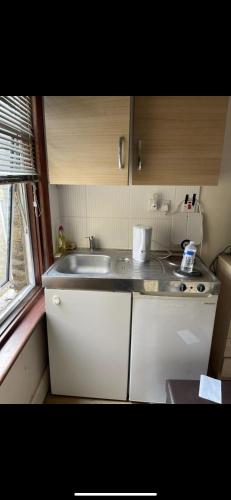 Enfield LockBeautiful Studio flat的一个带水槽和窗户的小厨房