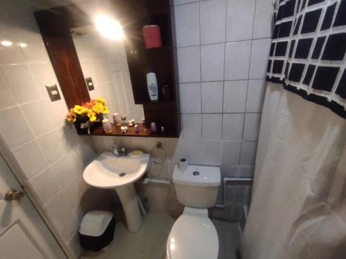 奇廉Hostal Dulces Sueños的一间带卫生间和水槽的小浴室