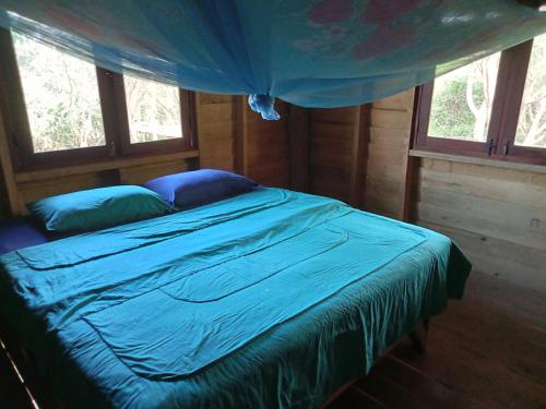 Ban KiangtatFandee Island - Secret Private House - Tad Lo Bolaven Loop Pakse的一间卧室配有一张带蓝色床单和窗户的床。