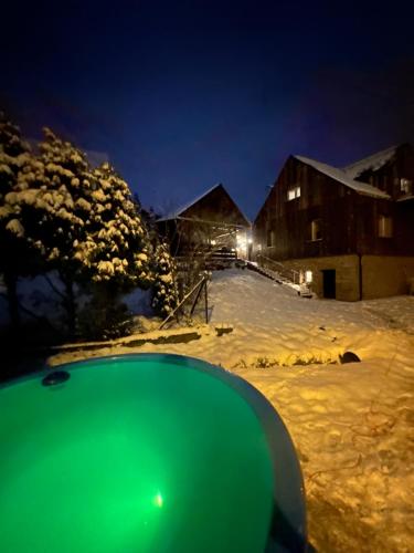 KrzyżowaW deSki dom apartamenty的夜晚雪中的一个绿色物体