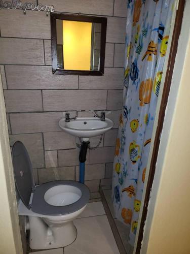 比勒陀利亚At Blackwood Guesthouse的一间带卫生间和水槽的小浴室