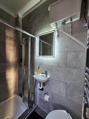伦敦Putney Thames garden flat的浴室配有卫生间、盥洗盆和淋浴。