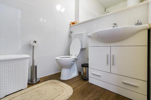 卡利Apartman KALI的一间带水槽和卫生间的浴室