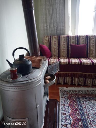 TatvanTatvan Merkezde Sahile Yakın Eviniz的客厅配有炉灶和沙发。