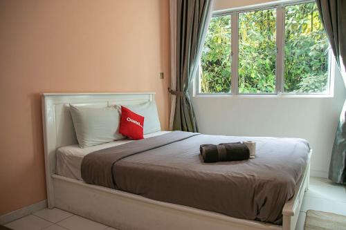 丹那拉打A3A Oastel coLiving的一间卧室配有带两个枕头的床和窗户
