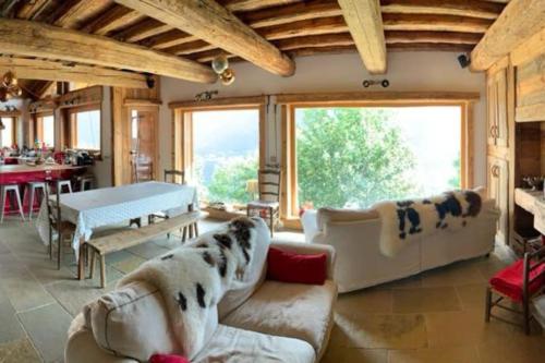 蒙特瓦勒赞La Rosière Magnifique chalet savoyard 160 m2 T5的带沙发和桌子的大客厅