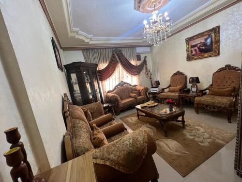 伊尔比德Jad apartment的客厅配有家具和吊灯。