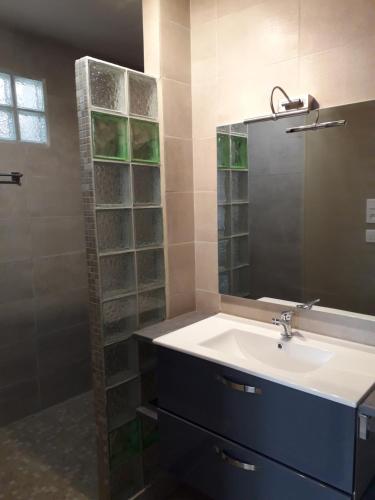 萨雷尔讷Villa Lei Rigaü的一间带水槽和淋浴的浴室