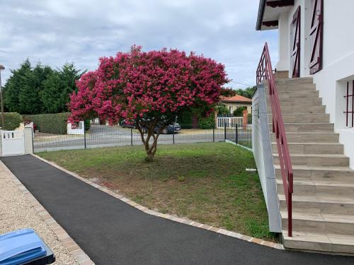 布科·莱斯白老城Résidence « les Gets » Location T4 Vieux-Boucau-Les-Bains的一座建筑物旁一棵有粉红色花的树