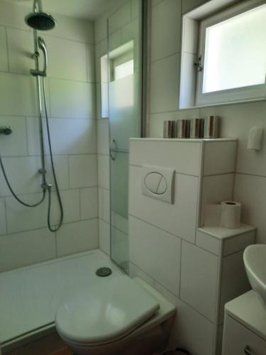 安迪尔La Crappa的带淋浴、卫生间和盥洗盆的浴室