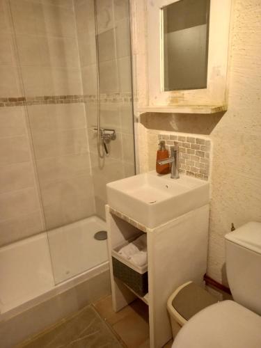 Maisonnette indépendante au bord du loir的一间带水槽、卫生间和淋浴的浴室