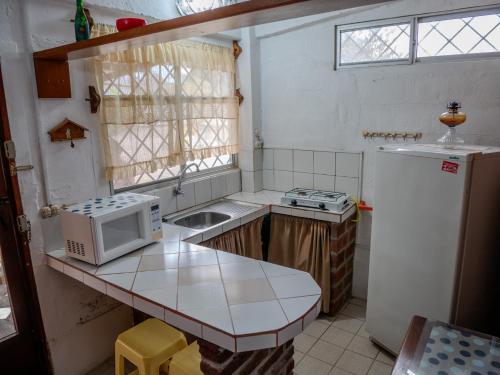 普拉亚斯Las villas de Yoly的一间带微波炉和冰箱的小厨房