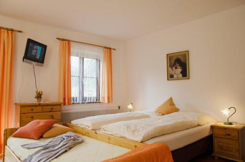 巴德加斯坦赛本霍夫农家乐的一间卧室设有两张床和窗户。