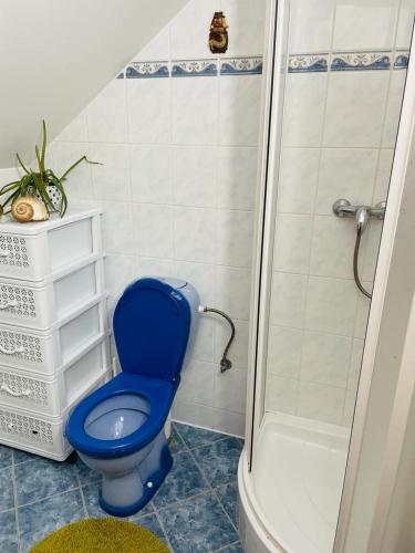 特鲁特诺夫Apartmán Trutnov-Poříčí的带淋浴的浴室内的蓝色卫生间