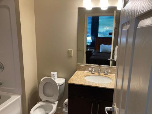 匹兹堡River View的一间带卫生间、水槽和镜子的浴室