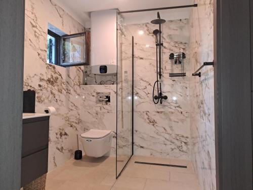 克尔克Villa Si'Seta的浴室设有玻璃淋浴间和卫生间