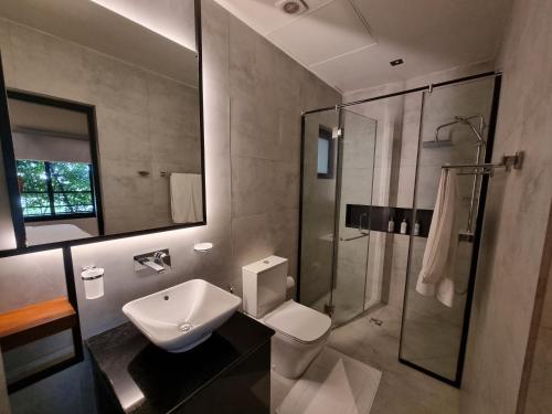 科伦坡VAUX PARK STREET Extended Stay Suites & Apartments in Central Colombo的一间带水槽、卫生间和淋浴的浴室