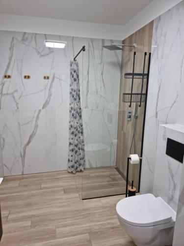 库特诺Perłowy Apartament的带淋浴和卫生间的浴室