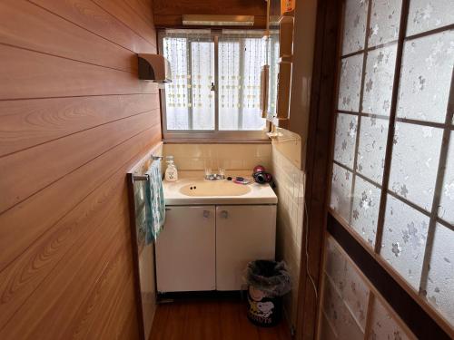WakamatsuGuest House Island的一间带水槽和窗户的小浴室