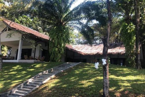 BantarkalapaTerrace Villa - Pelabuhan Ratu的庭院前有棕榈树的房子