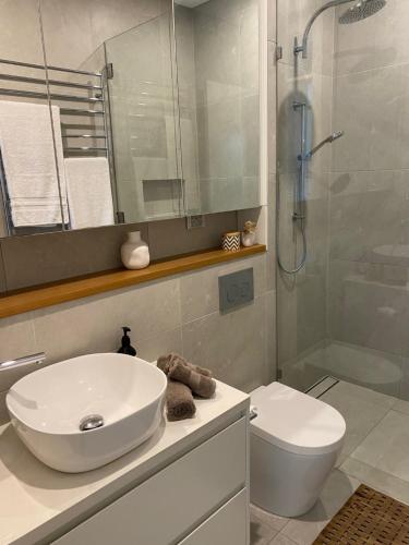 悉尼Seaside Escape的一间带水槽、淋浴和卫生间的浴室